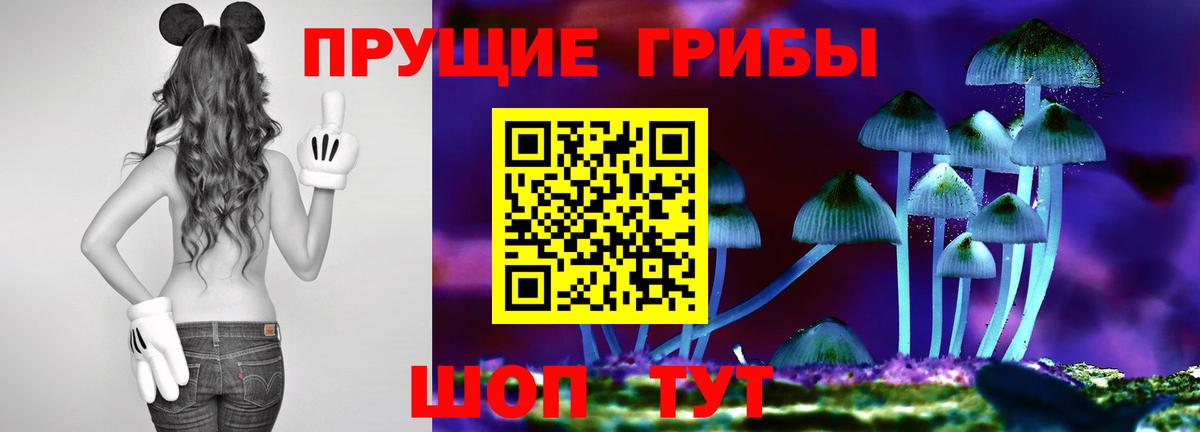 Галлюциногенные грибы мухоморы  Псилоцибиновые грибы Psilocybine cubensis  Вход с VPN  Алексеевка 