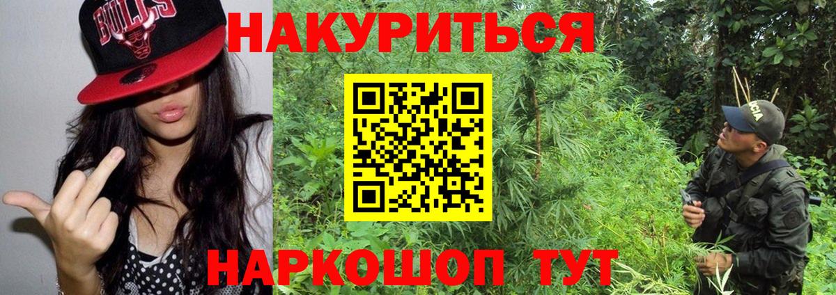 Конопля индика Алексеевка